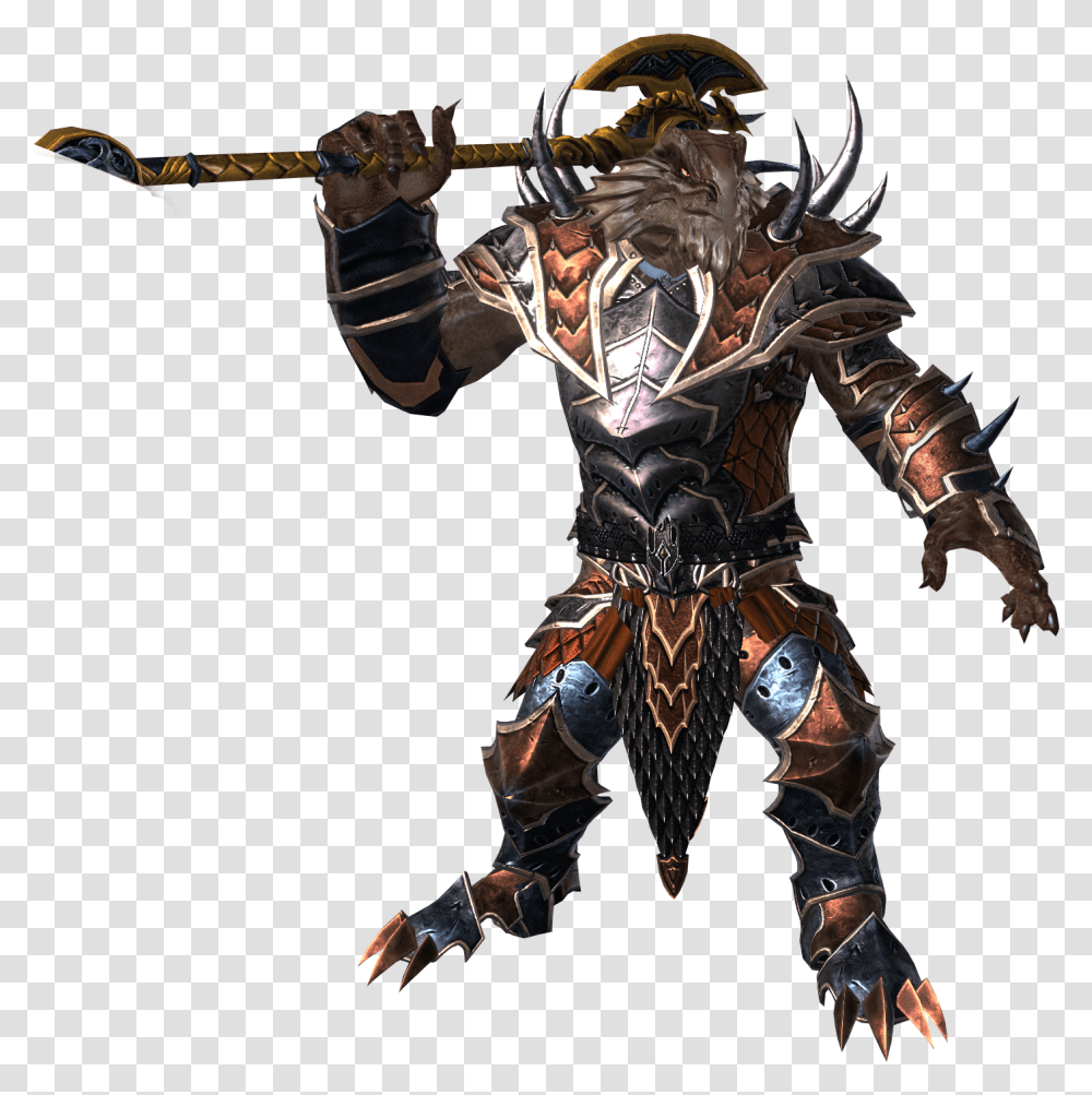 Download Neverwinter Personnage Dungeon And Dragons Dragonborn, Human, Knight, Dish, Meal Transparent Png