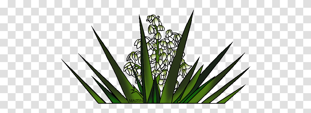 Download New Mexico State Flower Yucca New Mexico New Mexico State Yucca Plant, Art, Stained Glass, Blossom, Grass Transparent Png