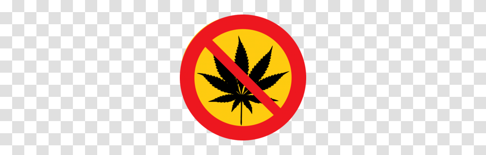 Download No Marijuana Clipart Cannabis Clip Art Drug Leaf Tree, Logo, Trademark, Plant Transparent Png