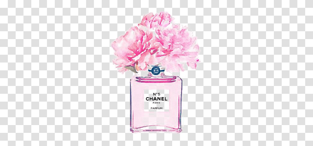 Download No Perfume Watercolor Coco Painting Chanel Hq Chanel Flower Perfume Bottle, Carnation, Plant, Blossom, Cosmetics Transparent Png