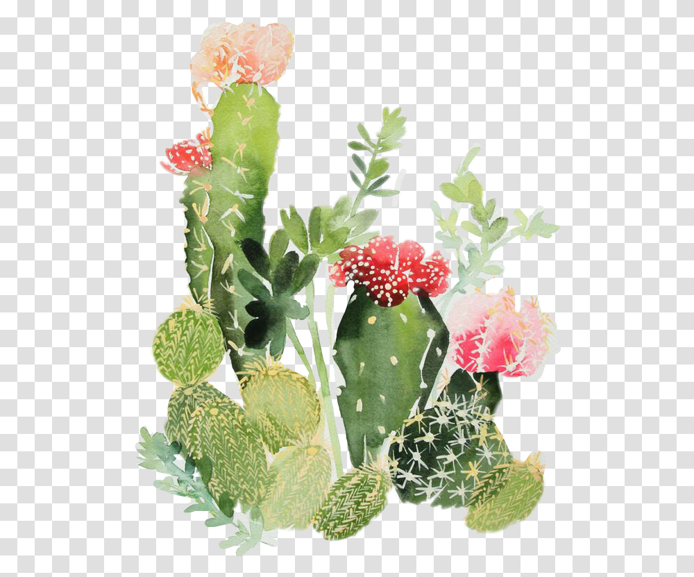 Download Nopales Watercolor Cactus, Plant Transparent Png