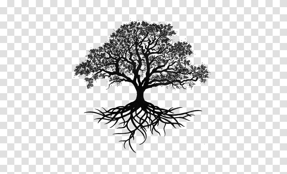 Download Oak Silhouette Tree Drawing Trees Free Oak Tree Tattoo Designs, Plant, Root Transparent Png