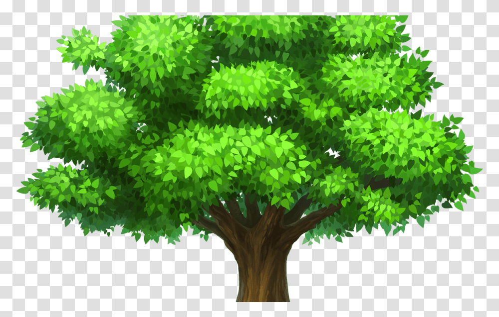 Download Oak Tree Image Royalty Free Techflourish Tree Background Clipart, Green, Plant, Vegetation, Leaf Transparent Png