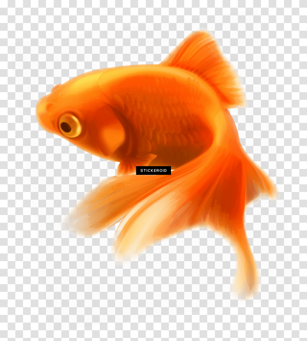 Download Ocean Fish Pic Gold Fish Icon Transparent Png