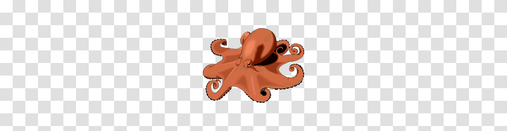 Download Octopus Category Clipart And Icons Freepngclipart, Invertebrate, Sea Life, Animal Transparent Png