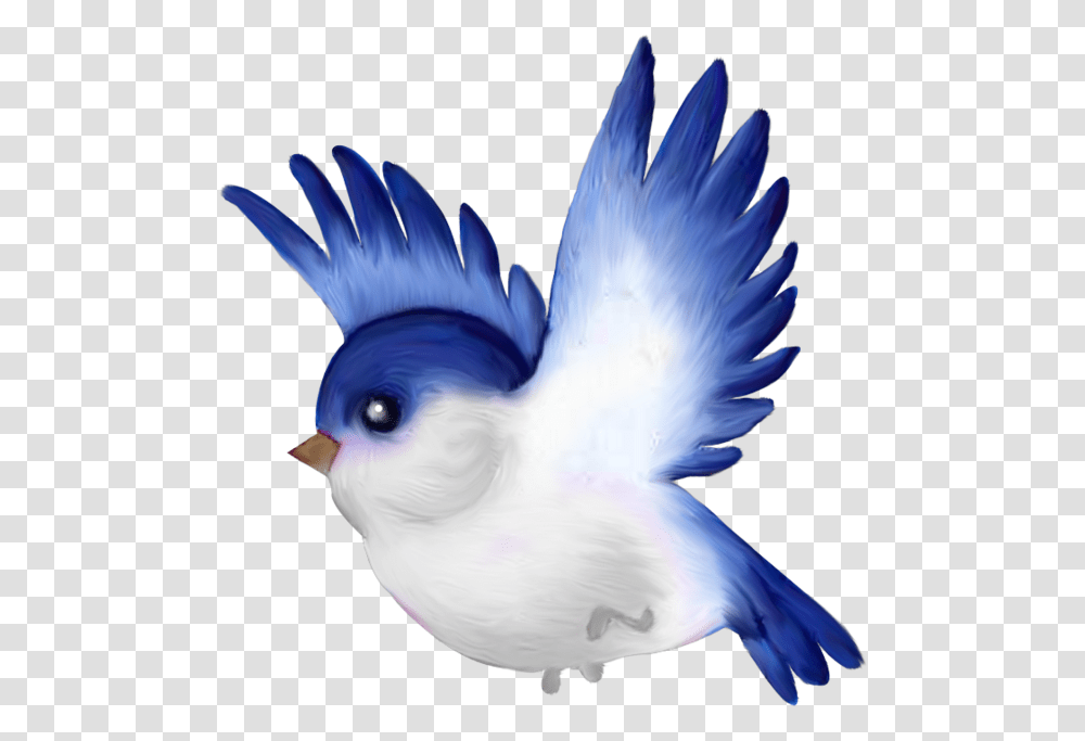 Download Oiseaux Birds Oiseauxbirdspng Bird Pretty Bird Clipart, Chicken, Poultry, Fowl, Animal Transparent Png