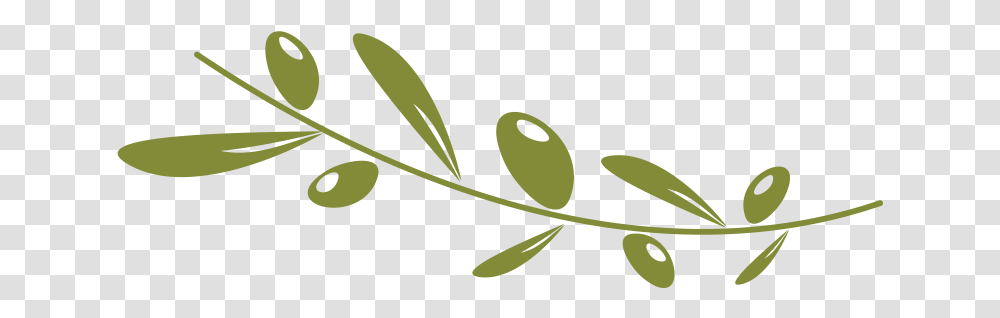 Download Olive Oil Images Olive, Tennis Ball, Leaf, Plant, Flower Transparent Png