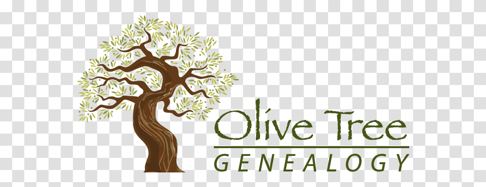 Download Olive Tree Genealogy New Logo Branches Full Olive Tree Genealogy, Outdoors, Plant, Nature, Vegetation Transparent Png