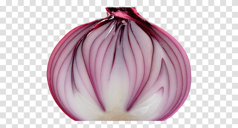 Download Onion Images Cebolla Cortada, Plant, Shallot, Vegetable, Food Transparent Png