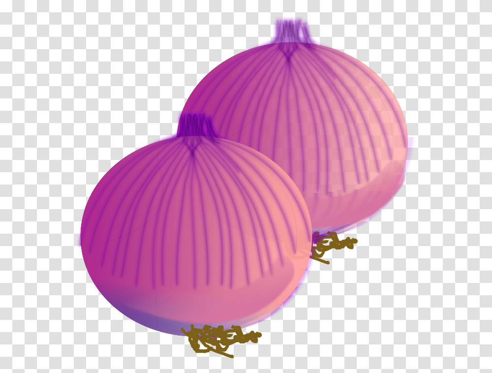 Download Onion Vector Hq Image In Onions Clipart, Plant, Balloon, Vegetable, Food Transparent Png