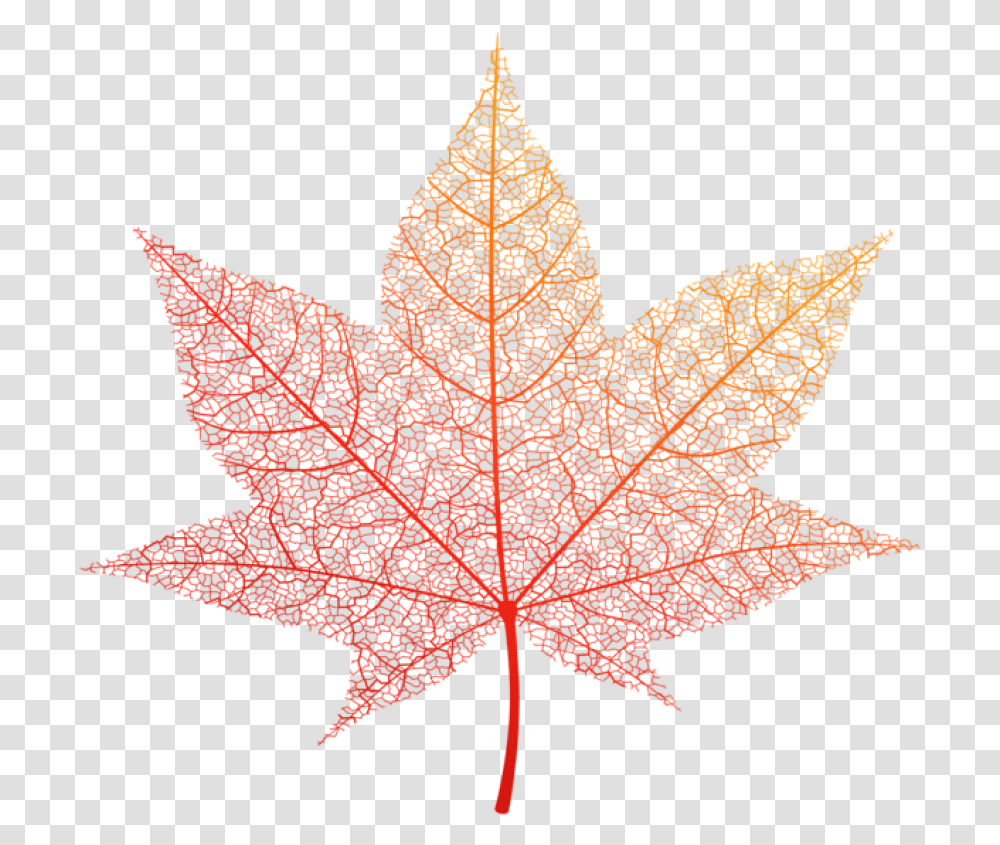 Download Orange Autumn Leaf Clipart Photo Autumn Leaf Vector, Plant, Tree, Bird, Animal Transparent Png