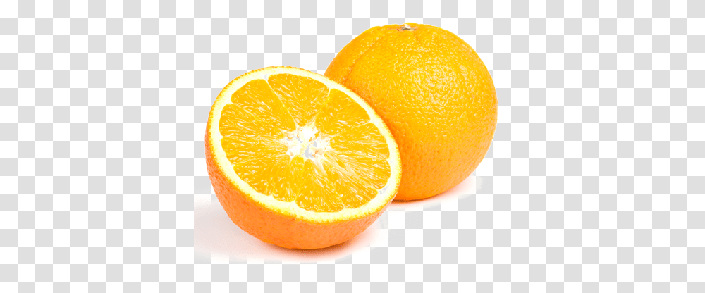 Download Orange Bitter Orange, Plant, Citrus Fruit, Food, Grapefruit Transparent Png
