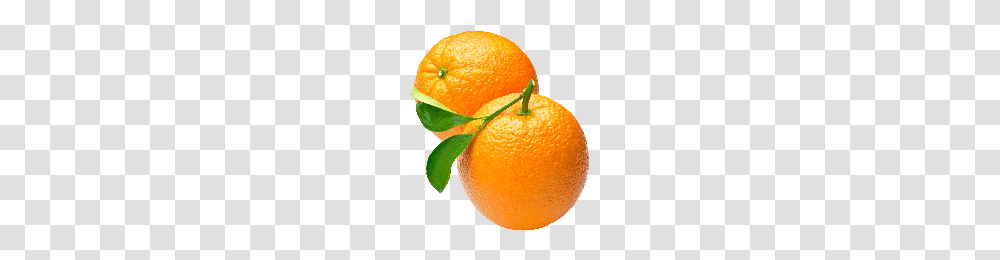 Download Orange Free Photo Images And Clipart Freepngimg, Citrus Fruit, Plant, Food, Grapefruit Transparent Png