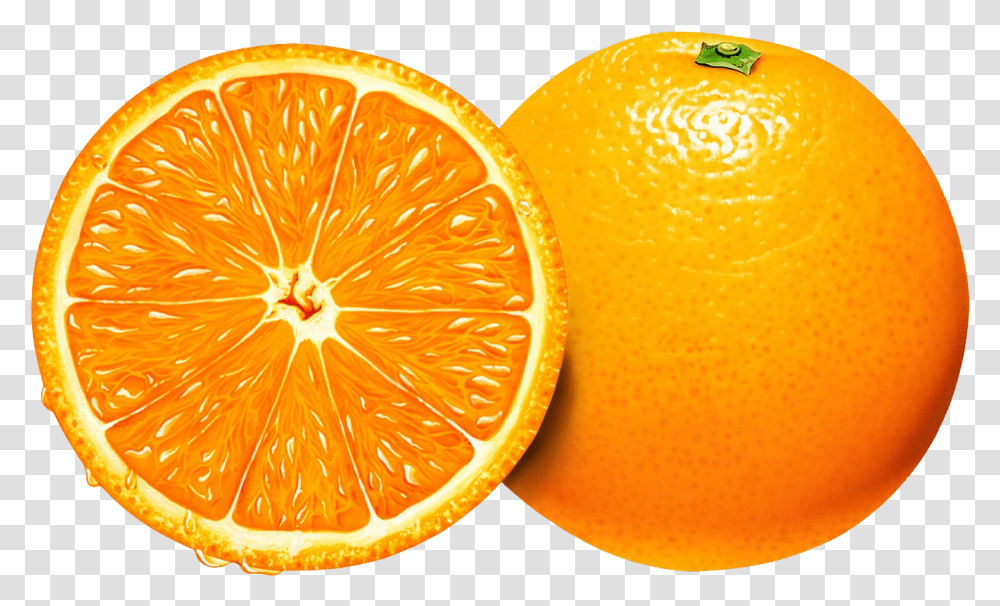 Download Orange Image For Free Orange Slice, Citrus Fruit, Plant, Food, Grapefruit Transparent Png