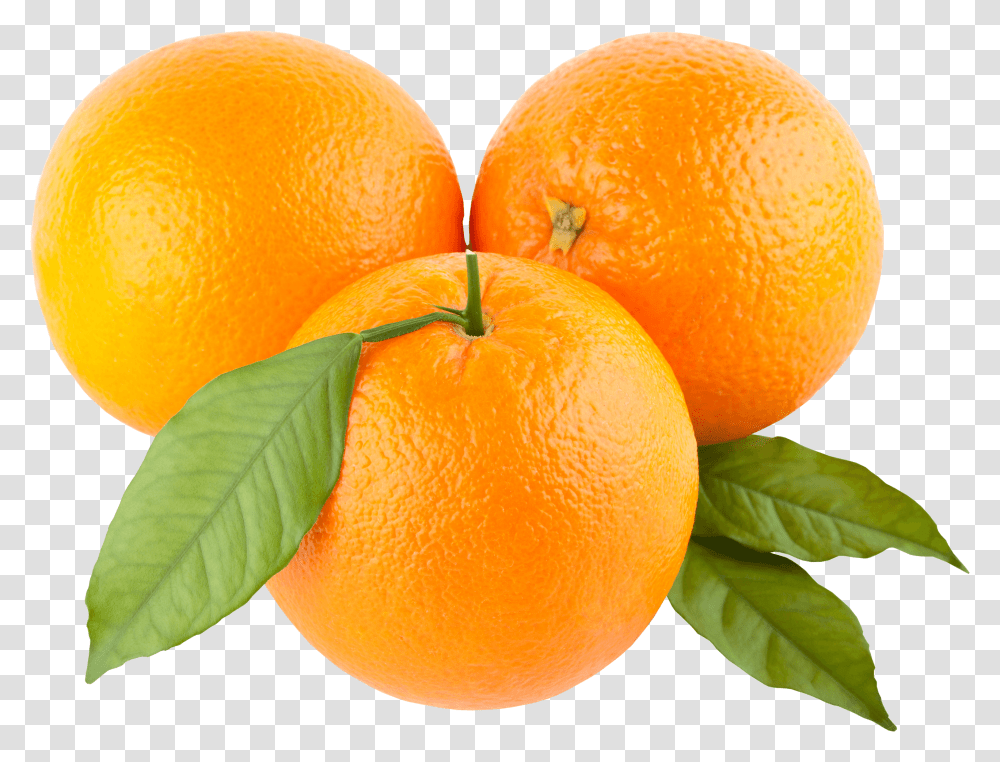 Download Orange Image Hq Oranges Clipart, Citrus Fruit, Plant, Food, Grapefruit Transparent Png