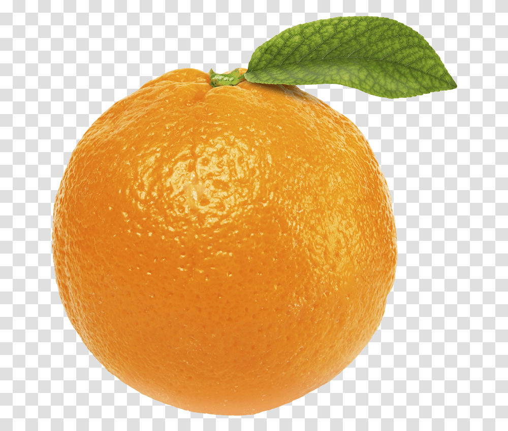 Download Orange Image Single Fruits, Citrus Fruit, Plant, Food, Grapefruit Transparent Png