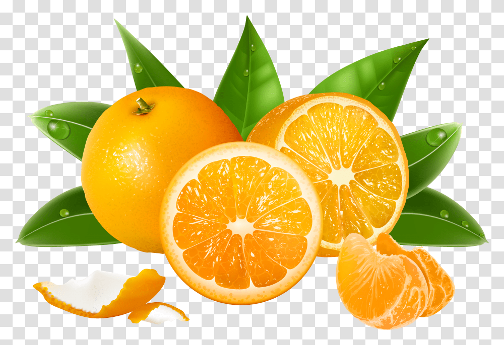 Download Orange Juice Grapefruit Lemon Oranges Free Background Oranges Transparent Png