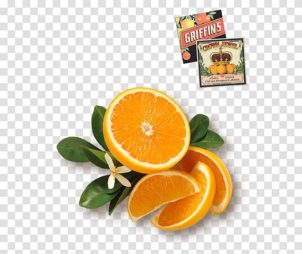 Download Orange Juice Image With No Background Pngkeycom Orange Juice, Citrus Fruit, Plant, Food, Grapefruit Transparent Png
