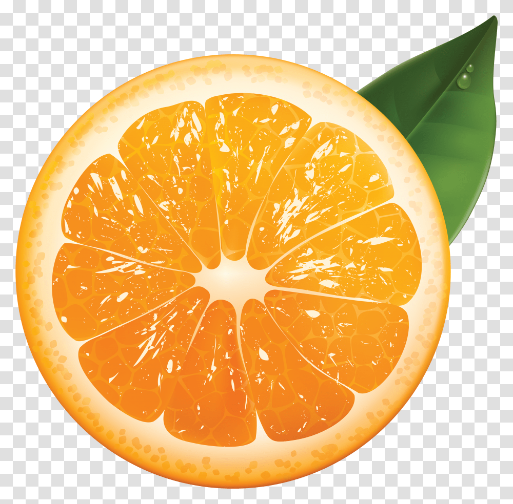 Download Orange Orange, Citrus Fruit, Plant, Food, Grapefruit Transparent Png