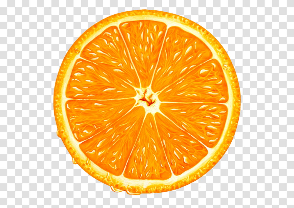 Download Orange Slice Clipart Background Orange Slice, Citrus Fruit, Plant, Food, Grapefruit Transparent Png