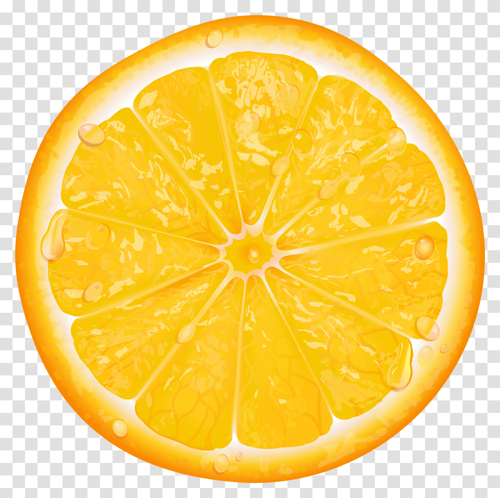 Download Orange Slice Image Lemon Slice Transparent Png