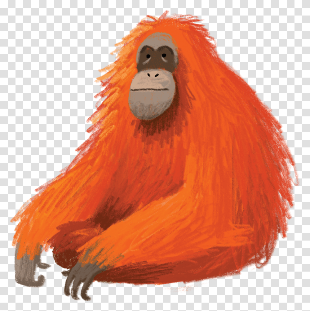 Download Orangutan Orang Utan Illustration, Mountain, Outdoors, Nature, Bird Transparent Png