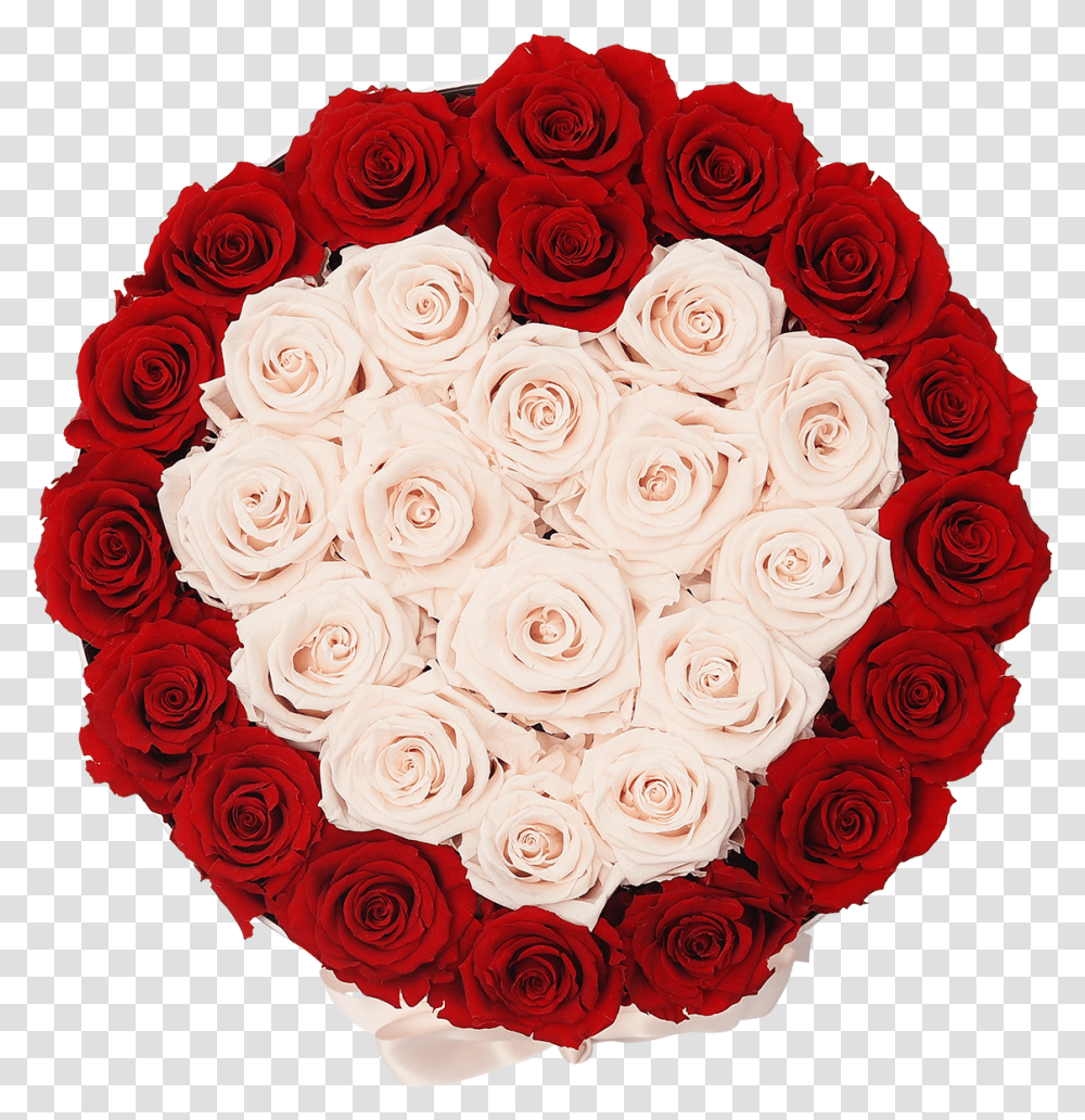 Download Orb Grand Red And Baby Pink Heart Roses Rose Garden Roses, Floral Design, Pattern, Graphics, Flower Transparent Png