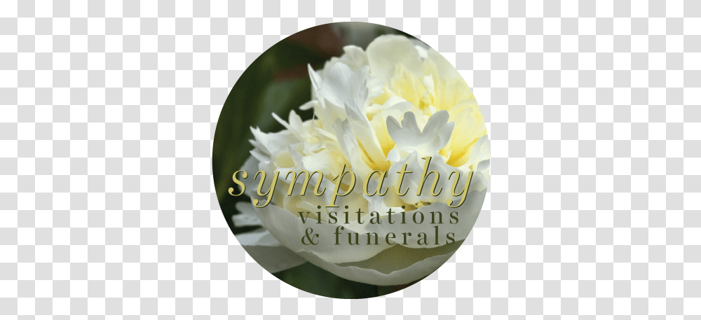 Download Order Online For Funeral Service & Visitation Common Peony, Plant, Flower, Birthday Cake, Petal Transparent Png