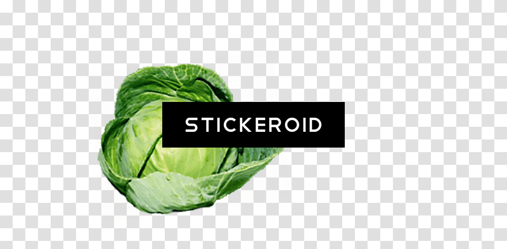 Download Organic Green Cabbage Cruciferous Vegetables Collard Greens, Plant, Food, Produce, Head Cabbage Transparent Png