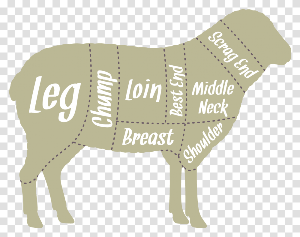Download Our Butchers Hang The Lambs For 7 Days Which Animal Figure, Mammal, Pig, Wildlife, Text Transparent Png