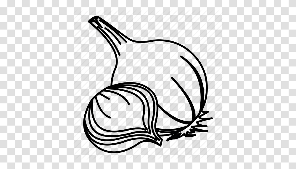 Download Outline Images Of Onion Clipart Onion Clip Art, Drawing, Sketch Transparent Png