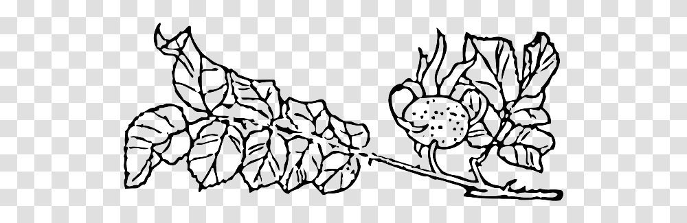 Download Outline Tree Rose Branch Plant Vine Rose Outline Images Of Creepers Plants, Chandelier, Doodle, Drawing, Art Transparent Png