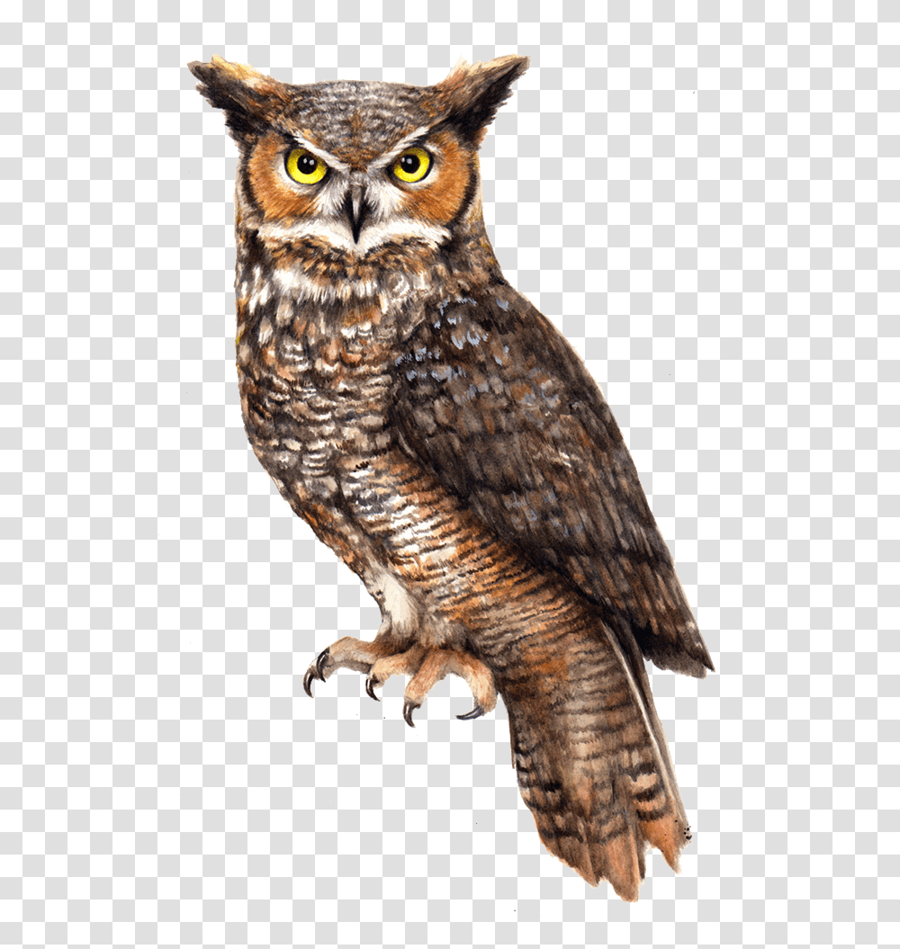 Download Owl File For Designing Use Great Horned Owl, Bird, Animal Transparent Png