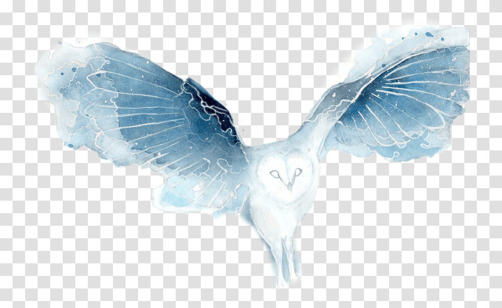 Download Owl Flying Watercolor Galaxy Owl Galaxy Owl Watercolor, Bird, Animal, Dove, Pigeon Transparent Png