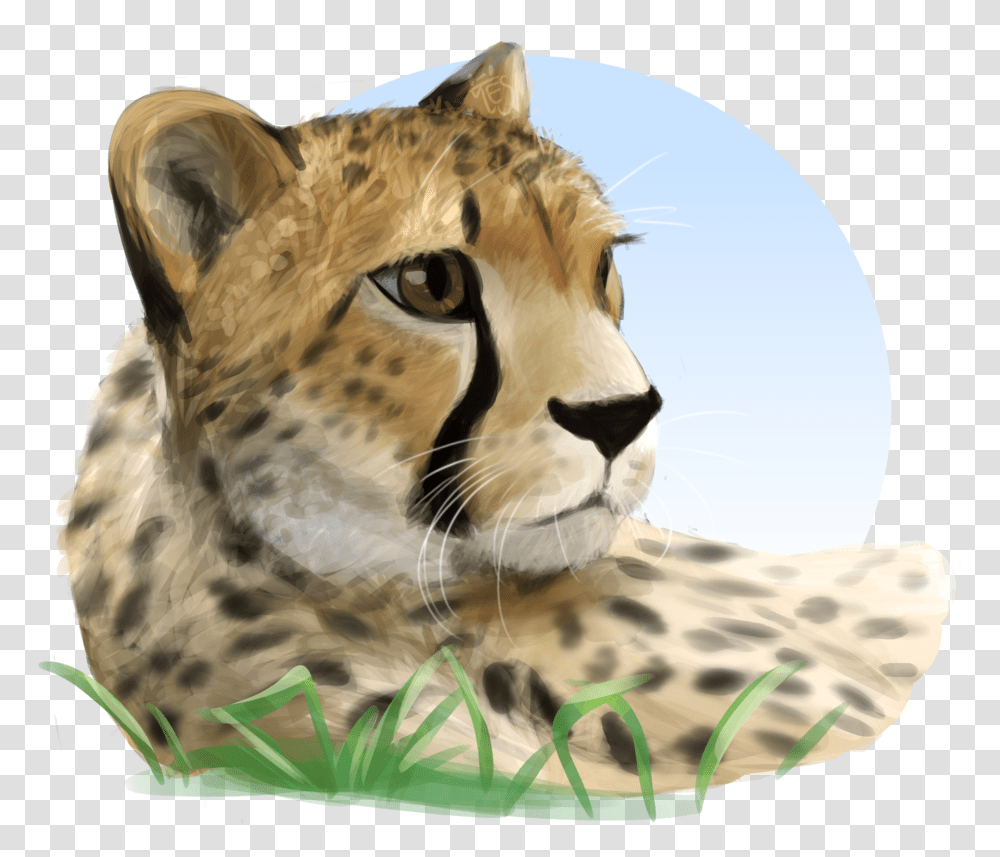 Download Owo Cheetah, Wildlife, Mammal, Animal, Tiger Transparent Png
