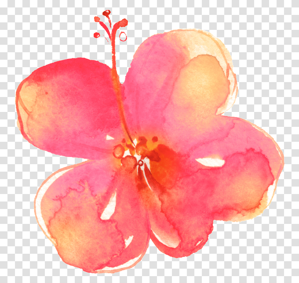 Download Painted Pink Hd Flower Petals Flower Lily, Plant, Blossom, Geranium, Cherry Blossom Transparent Png