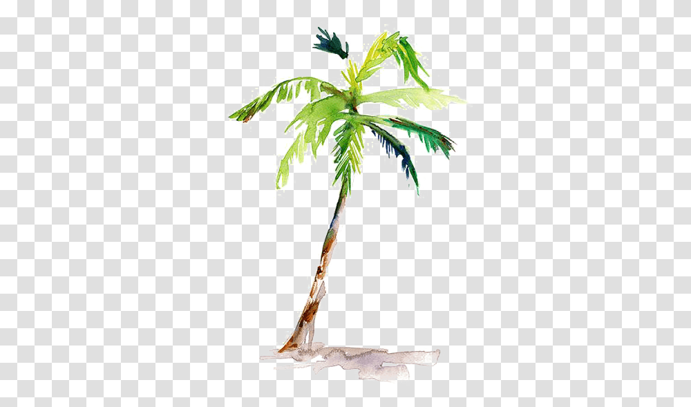 Download Painting Arecaceae Drawing Coconut Watercolor Simple Watercolor Palm Tree, Plant, Cross, Symbol, Construction Crane Transparent Png