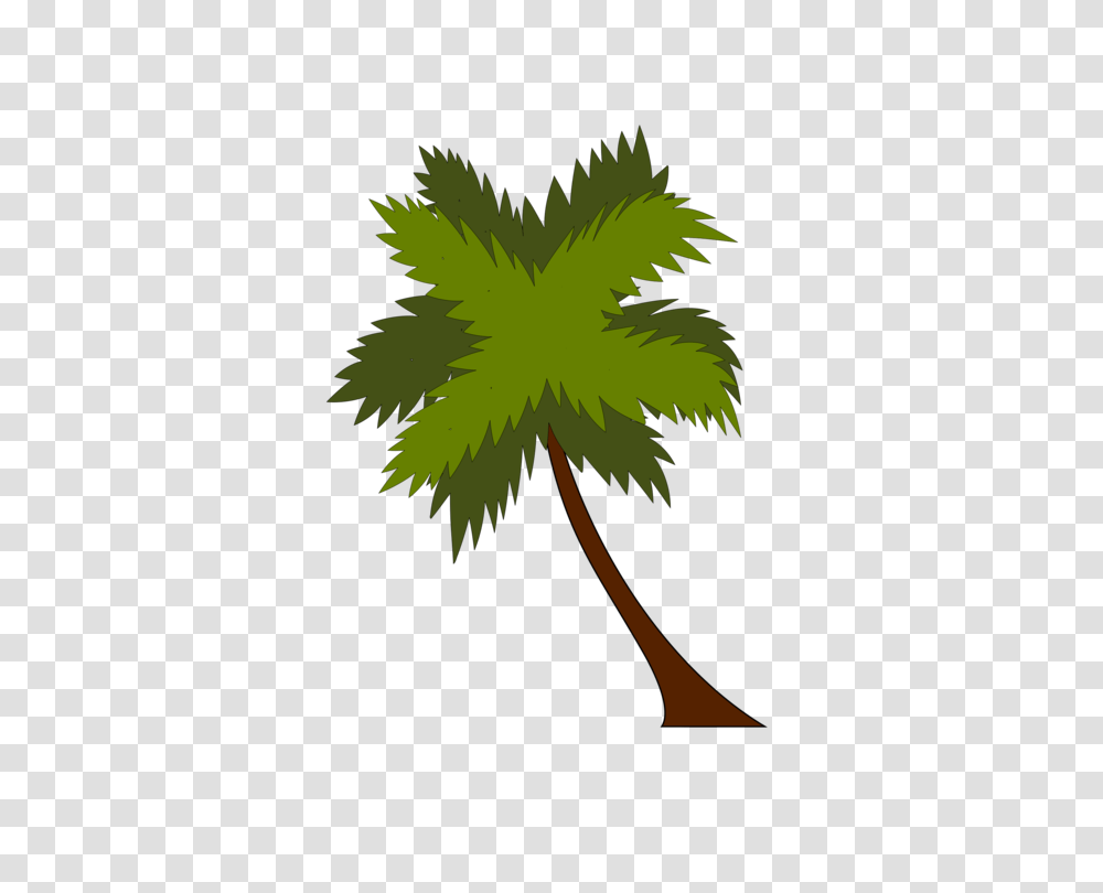 Download Palm Coconut Tree Vector Full Size Beach Resort, Leaf, Plant, Maple Leaf Transparent Png