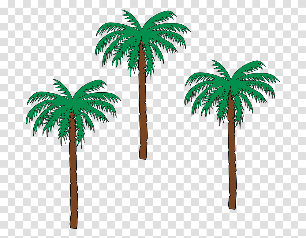 Download Palm Tree 22 Buy Clip Art Small Palm Tree Pom Trees, Plant, Arecaceae, Green, Outdoors Transparent Png