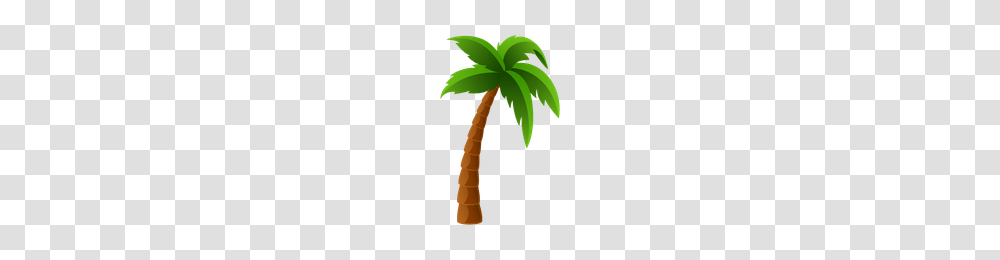 Download Palm Tree Category Clipart And Icons Freepngclipart, Plant, Arecaceae, Axe, Tool Transparent Png