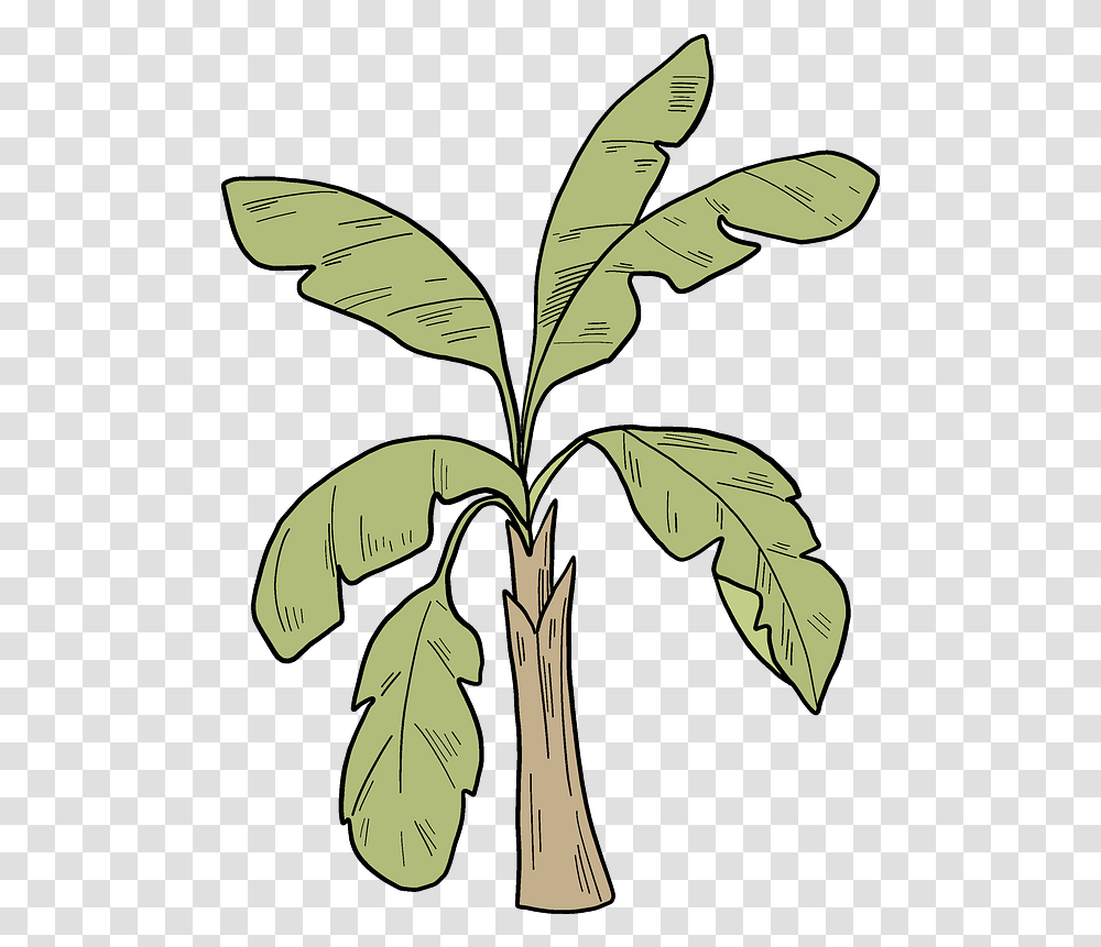 Download Palm Tree Clipart Hd Uokplrs Fresh, Leaf, Plant, Annonaceae, Silhouette Transparent Png