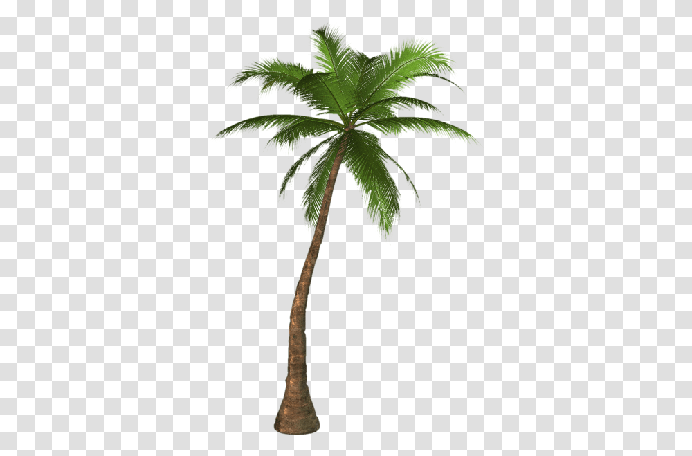 Download Palm Tree Free Image And Clipart, Plant, Arecaceae, Leaf Transparent Png