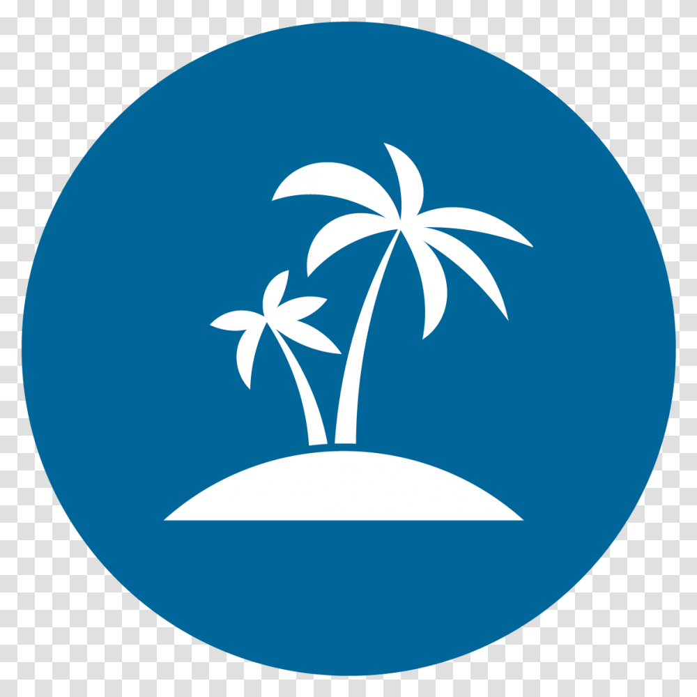 Download Palm Tree Icon Water Sanitation And Camera Icon, Plant, Graphics, Art, Moon Transparent Png