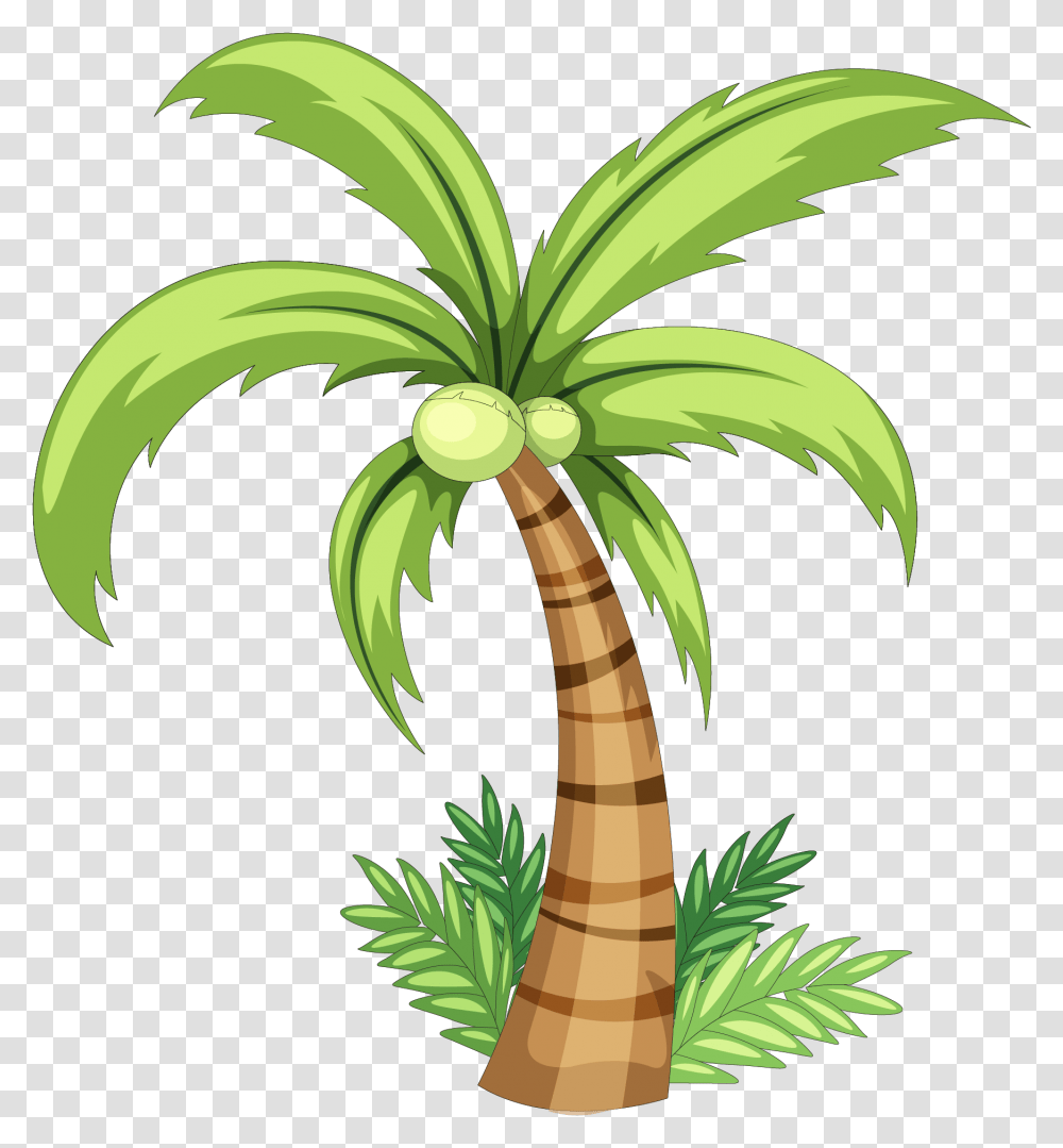 Download Palm Tree Watercolor Image Drawing Coconut Tree, Plant, Arecaceae, Banana, Fruit Transparent Png