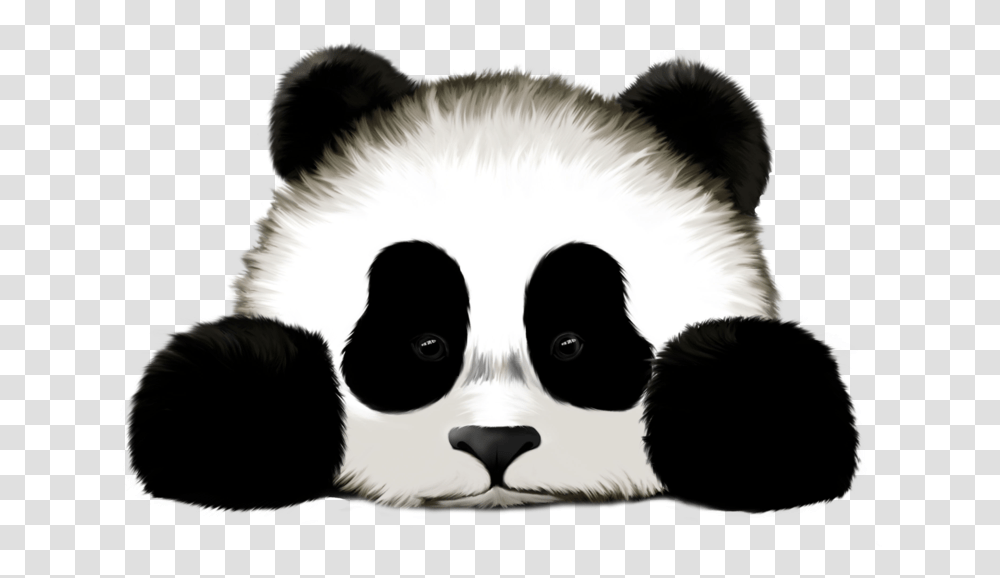 Download Panda Images Backgrounds Fake Pictures Of Pandas, Dog, Pet, Canine, Animal Transparent Png