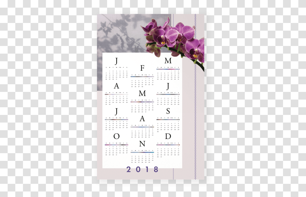 Download Pantone 2a Christmas Orchid Full Size Image Moth Orchid, Text, Calendar Transparent Png