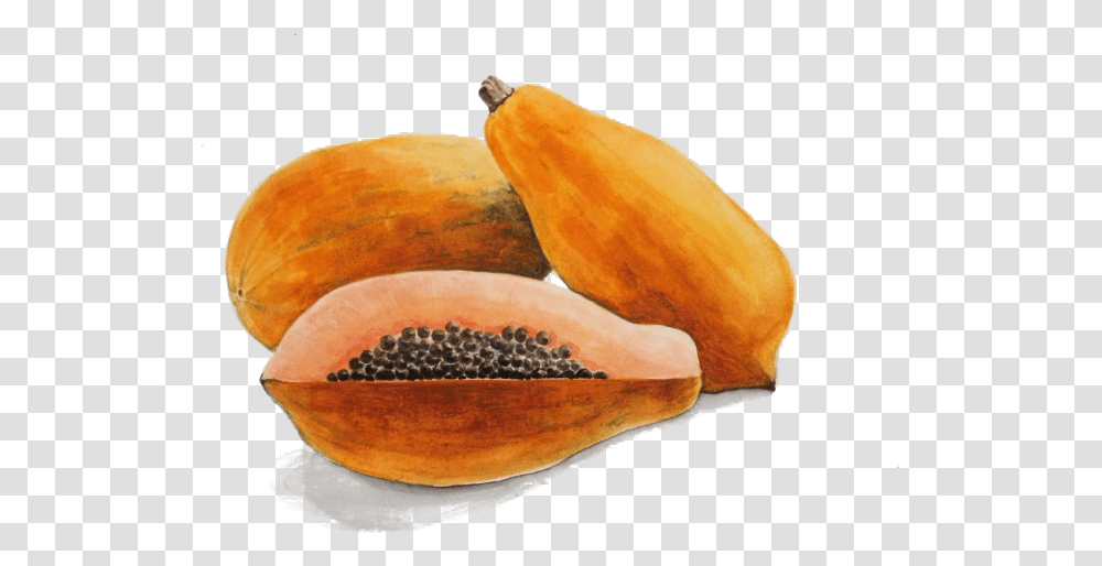 Download Papaya Drawing Watercolor Watercolour Papaya Papaya Pintada, Plant, Fruit, Food, Bread Transparent Png