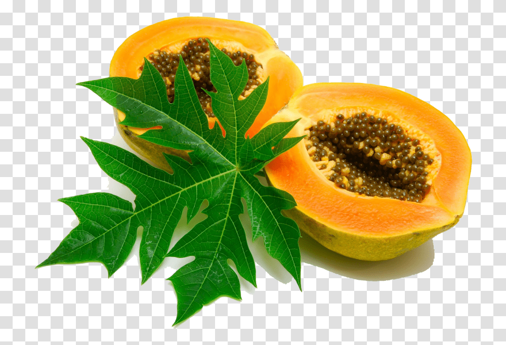 Download Papaya Image, Plant, Fruit, Food, Leaf Transparent Png