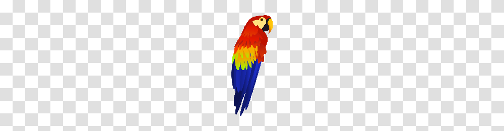 Download Parrot Free Photo Images And Clipart Freepngimg, Macaw, Bird, Animal Transparent Png