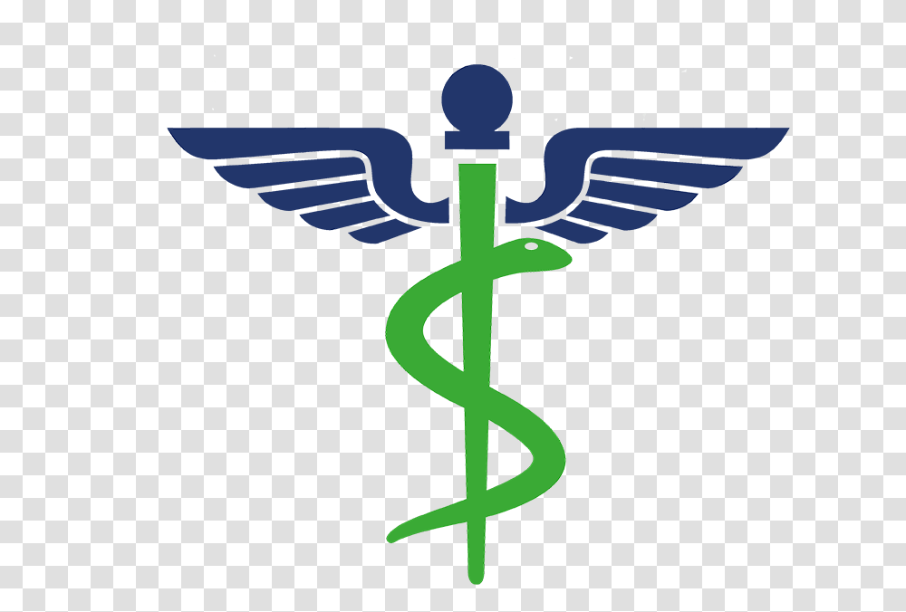 Download Passive Income Logo Square Sm Medicine Symbol, Cross, Bird, Animal, Jay Transparent Png